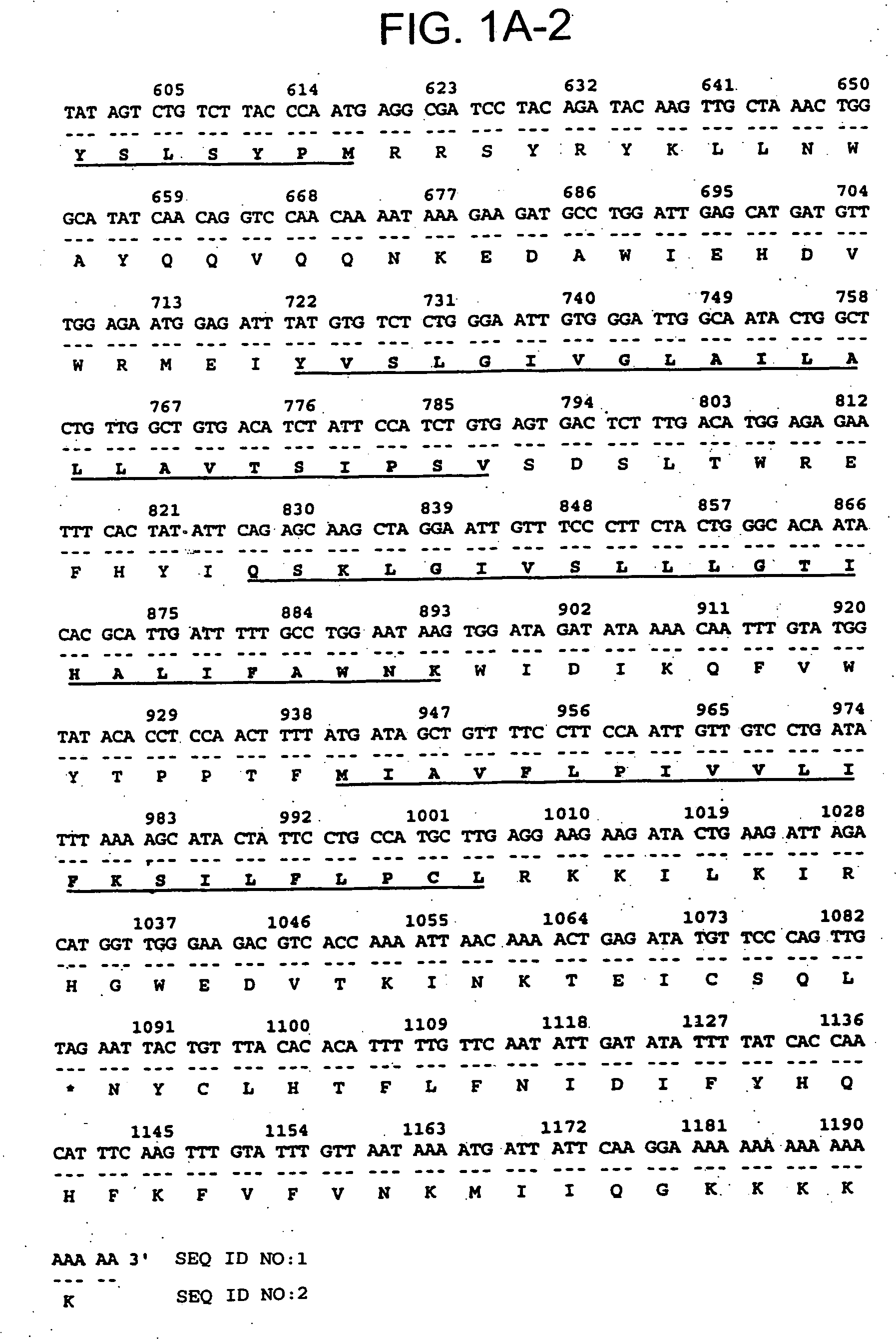 Novel serpentine transmembrane antigens expressed in human cancers and uses thereof