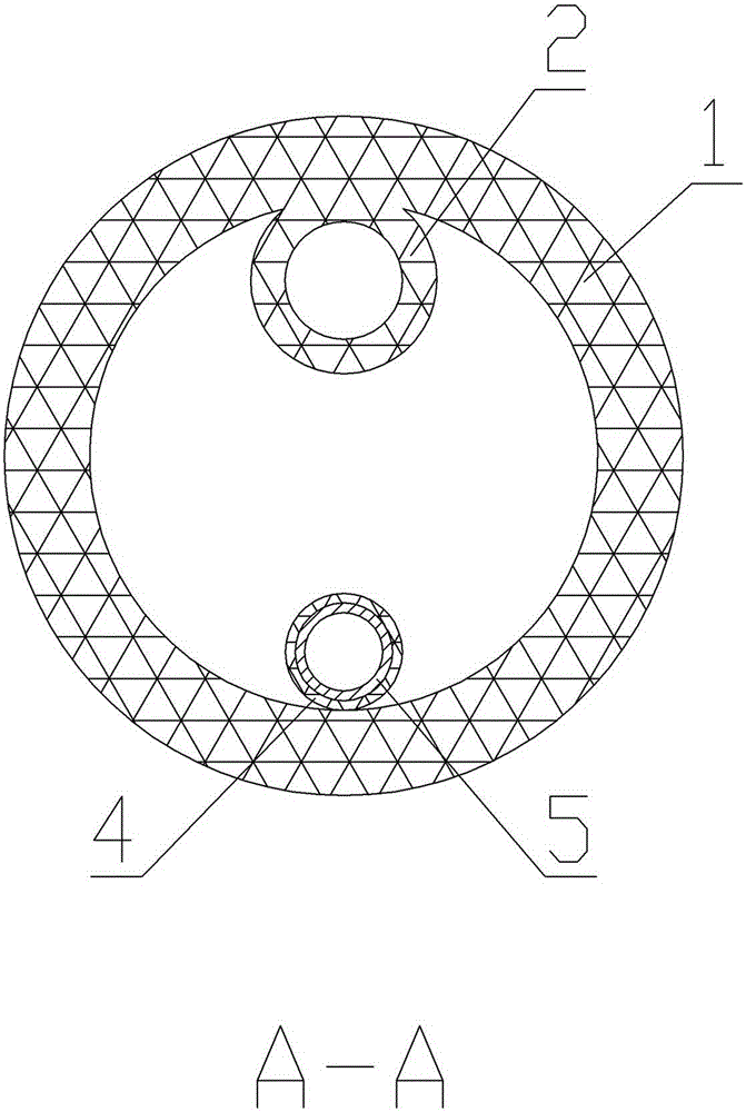 Double-lumen T tube