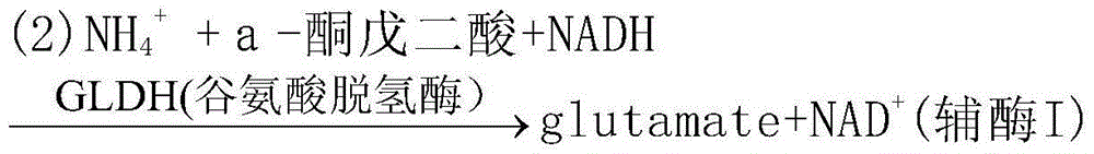 In-vitro enzymatic method potassium determining reagent, preparation method and use method thereof