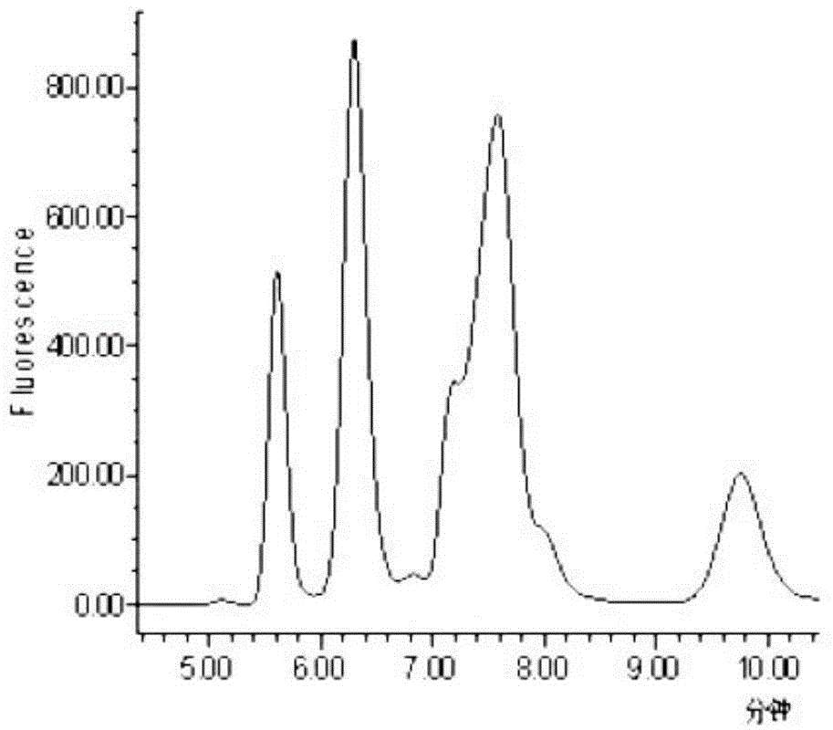 Method for analyzing glucosamine content in whey protein glycosylation product by reverse-phase high performance liquid chromatography (RP-HPLC)