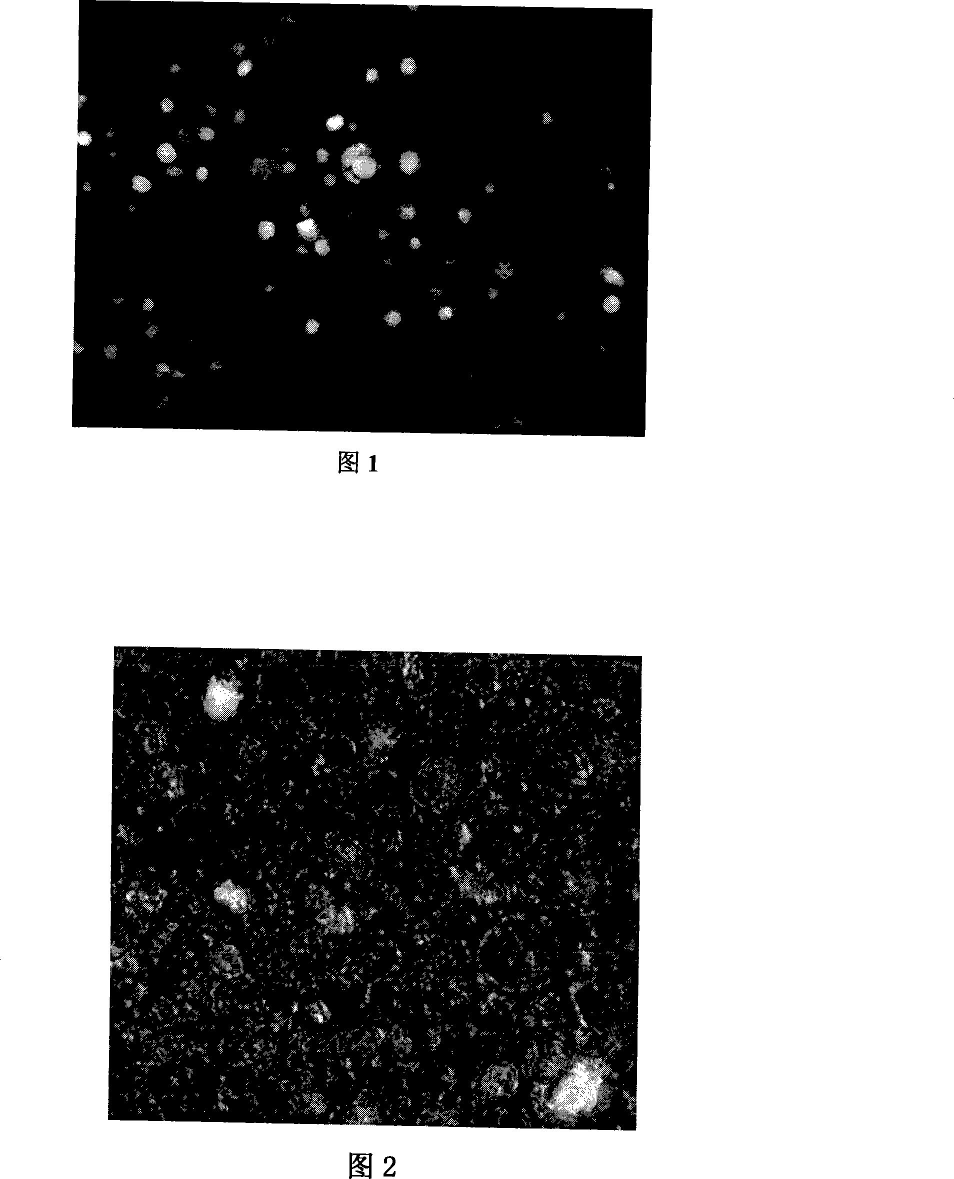 Method for providing recombinant baculovirus with polyhedrosis coatings