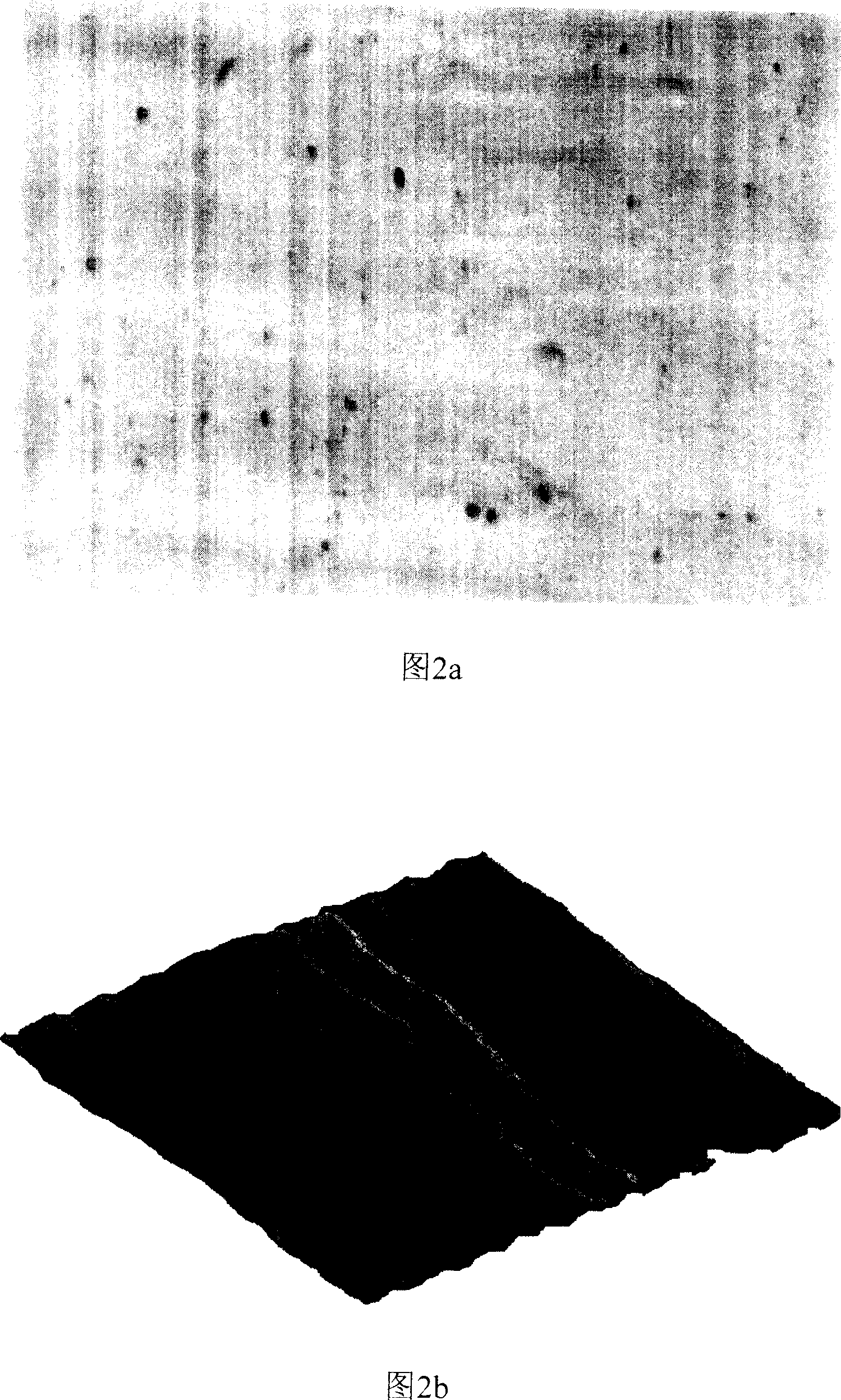 Method for preparing surface modified stainless steel as biplar plate for proton exchange membrane fuel cell