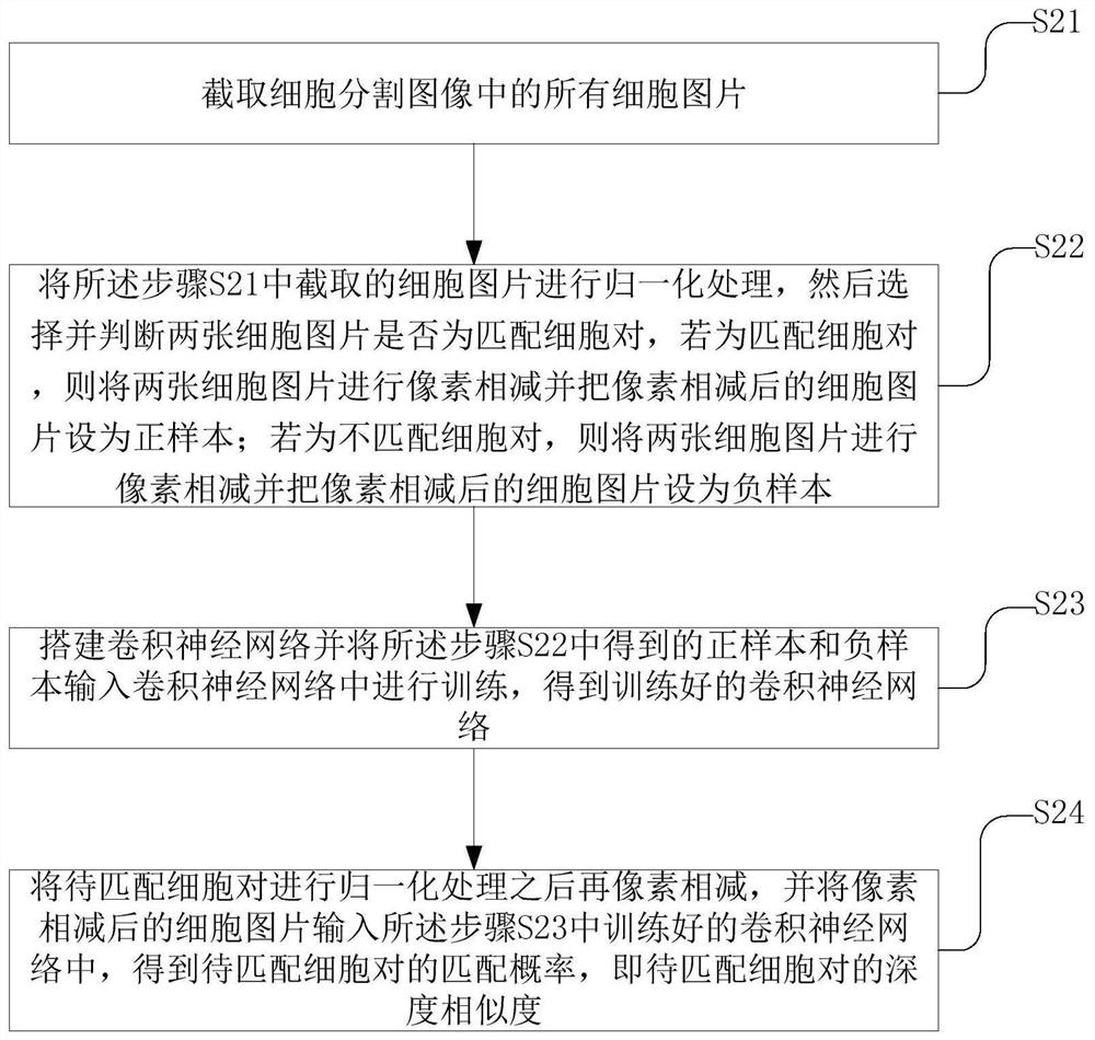 Cell tracking method based on local graph matching and convolutional neural network