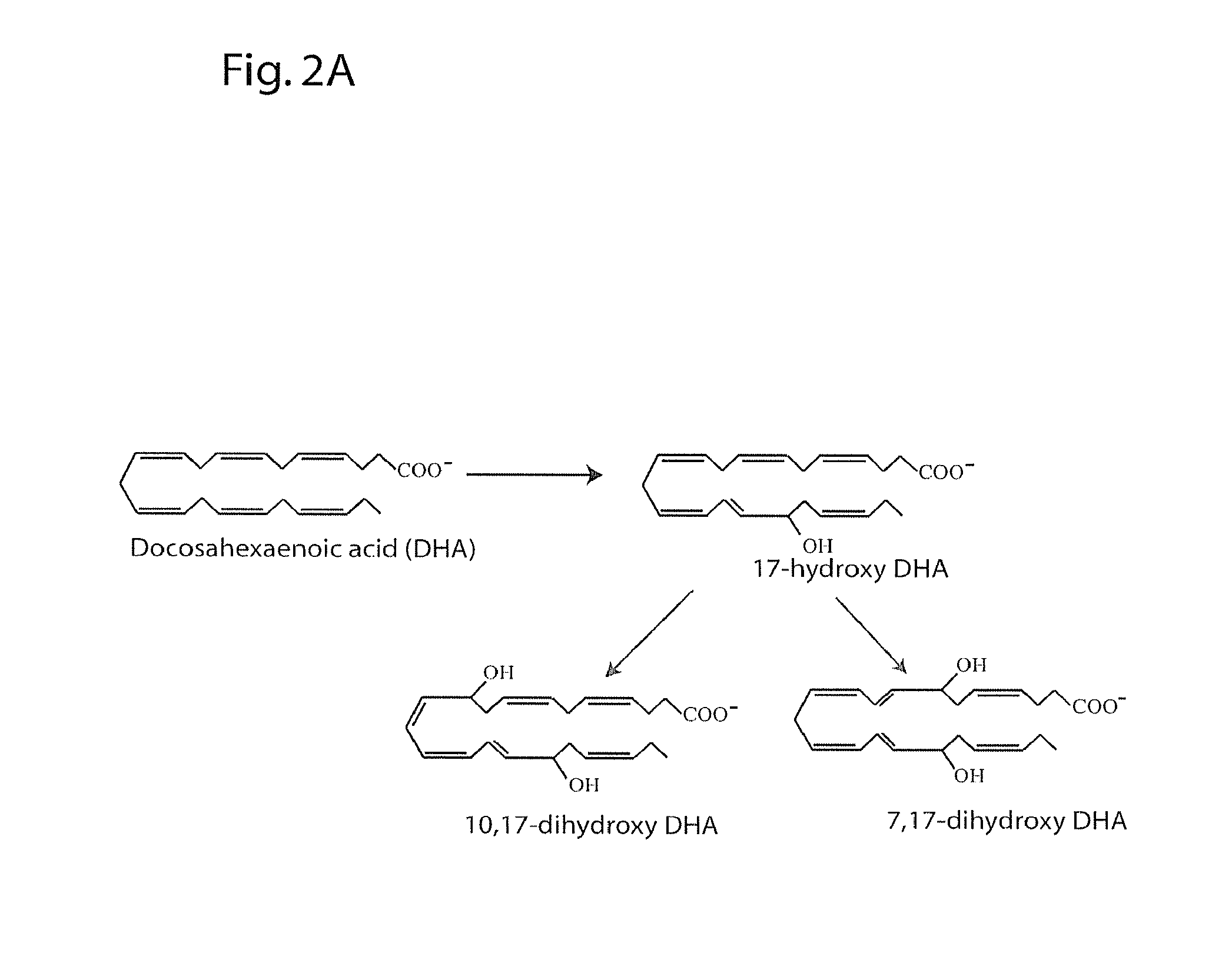 Oxylipins from long chain polyunsaturated fatty acids and methods of making and using the same