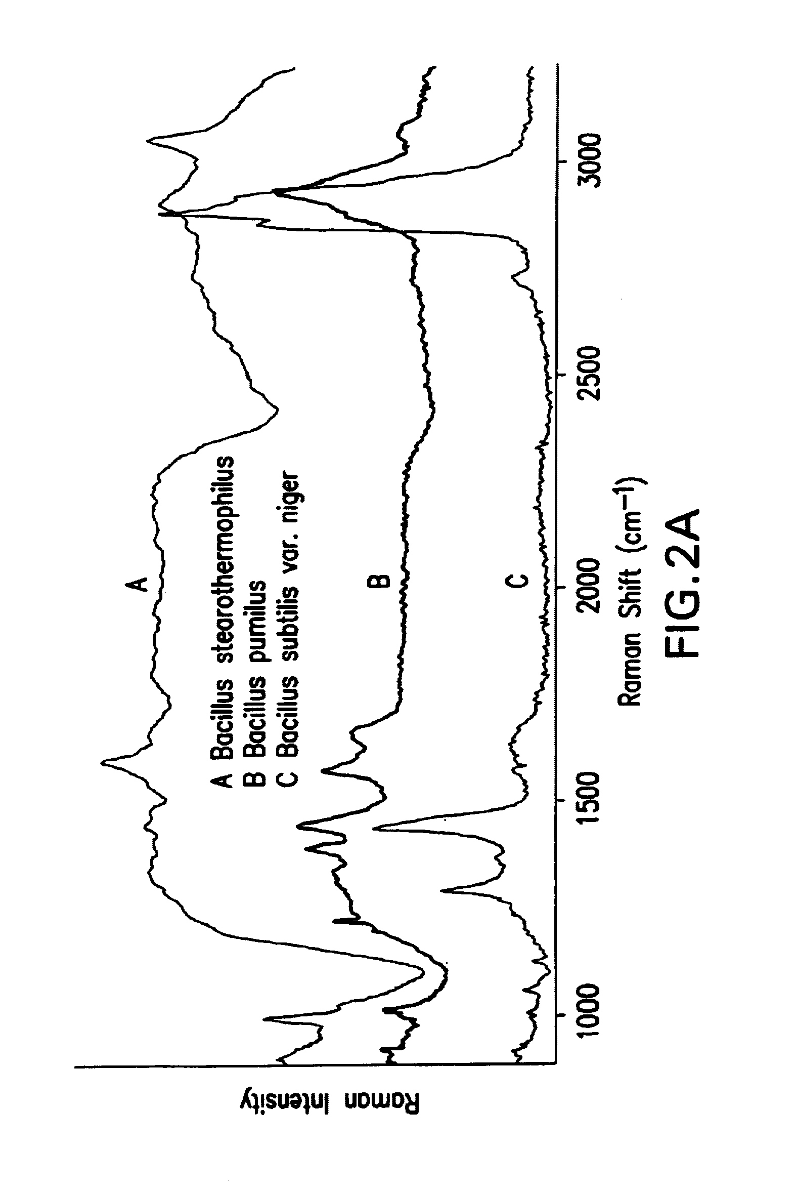 Wide field method for detecting pathogenic microorganisms