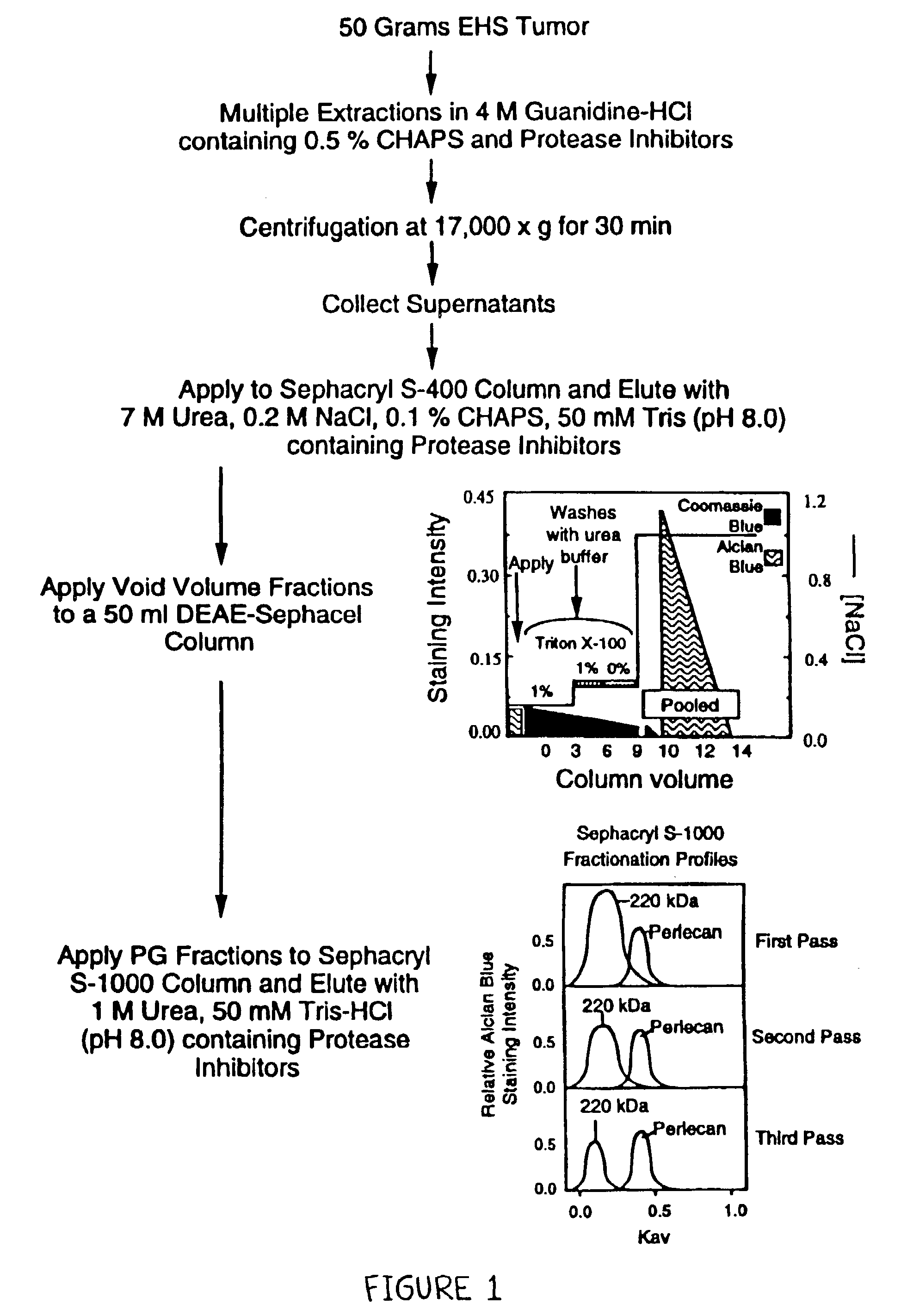 Methods for producing pure perlecan and other heparan sulfate proteoglycans