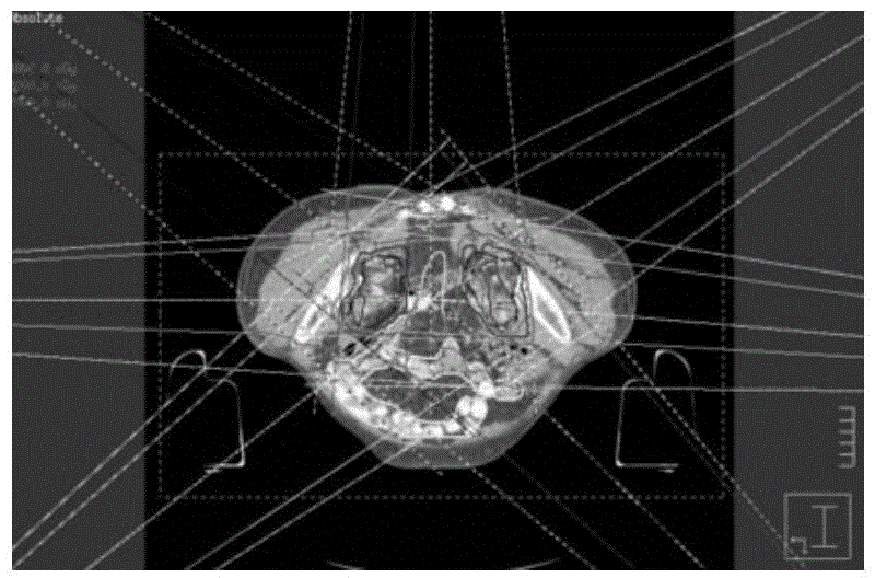 Verification method for ensuring accurate operation of intensity modulated radiation therapy