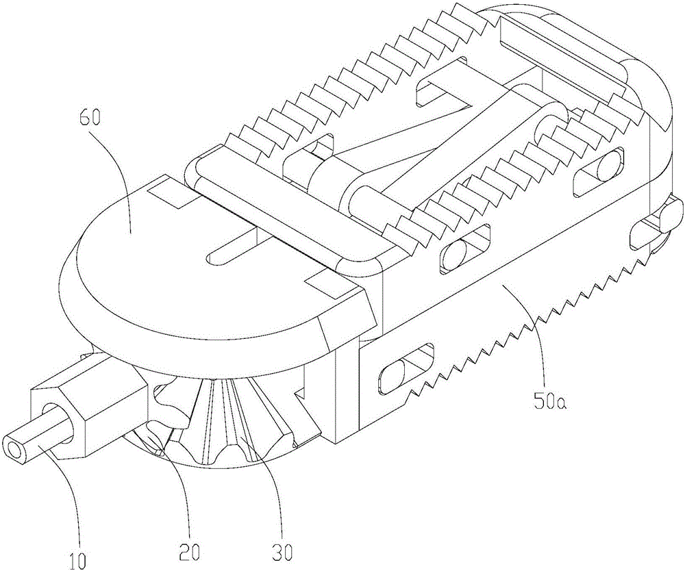 Adjustable fusion cage device