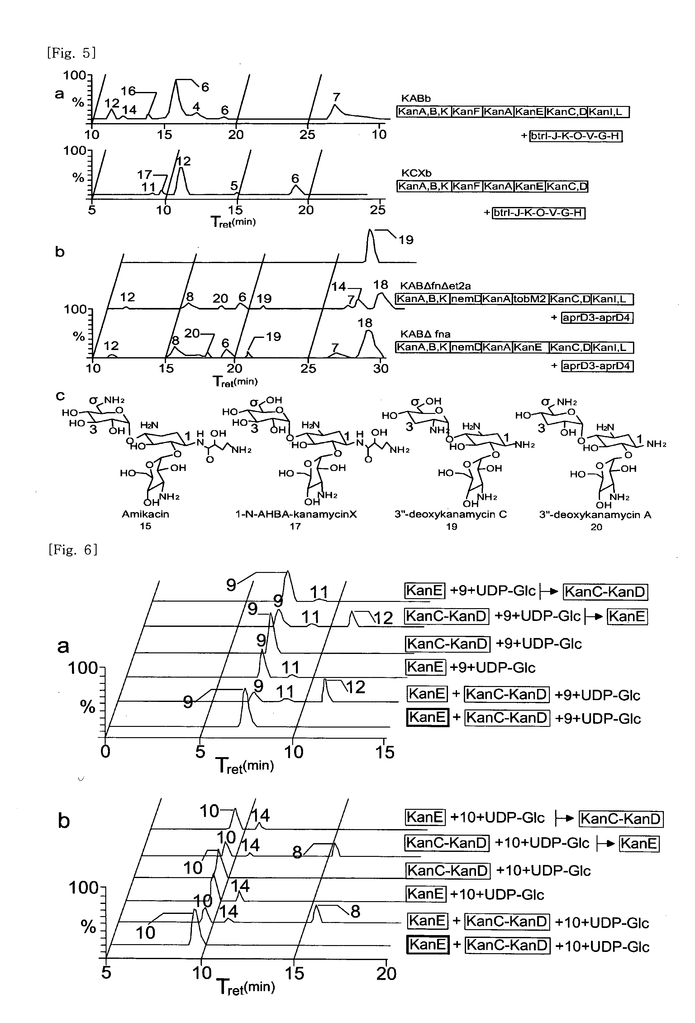 New kanamycin compound, kanamycin-producing streptomyces species bacterium, and method of producing kanamycin