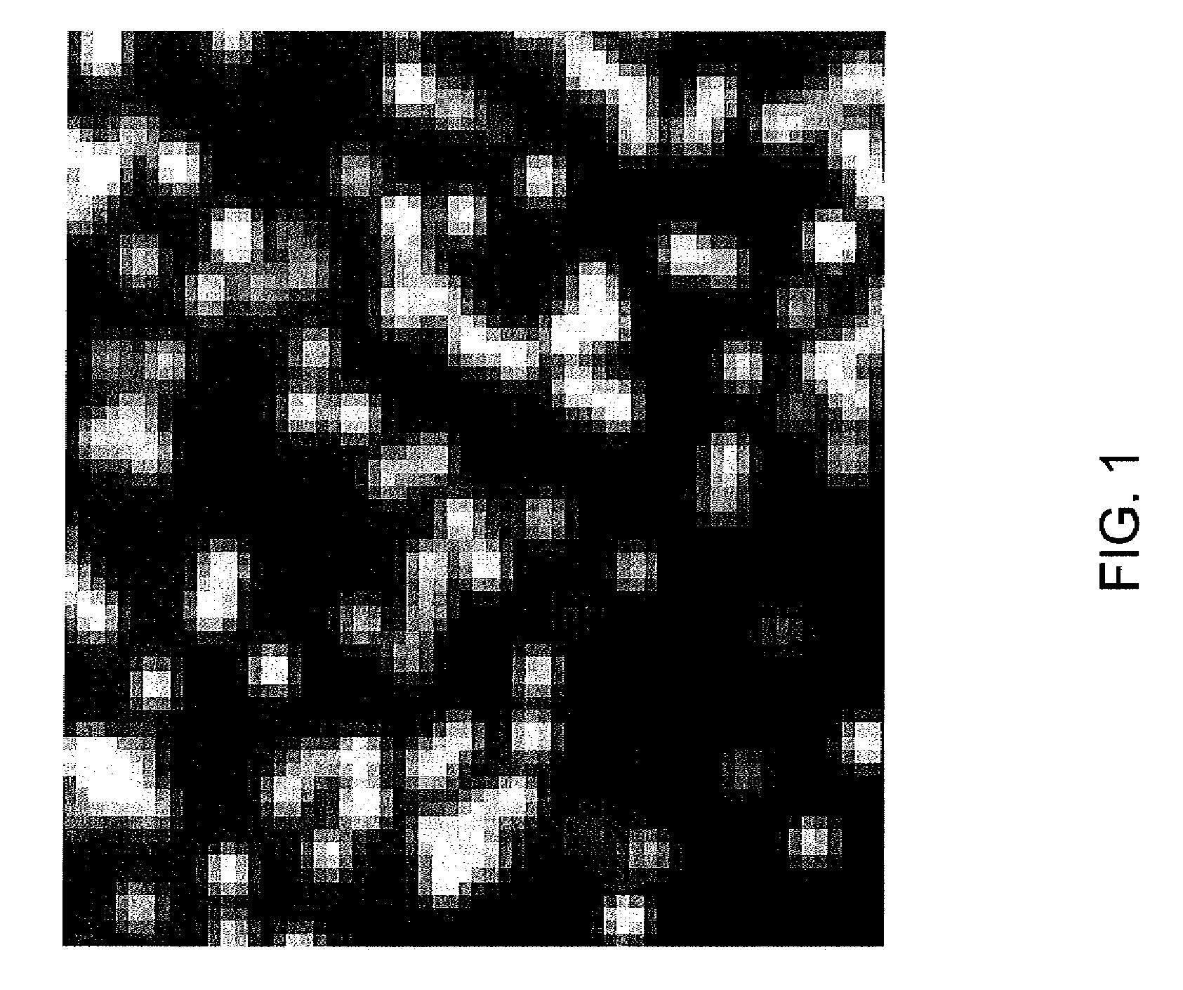 Method and apparatus for image processing for massive parallel DNA sequencing