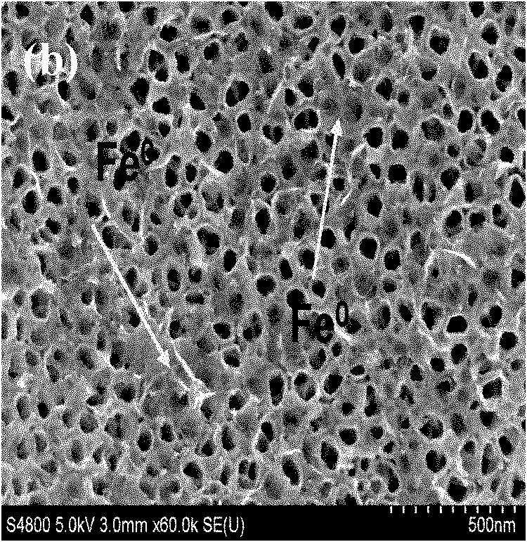 Environmental-function nano material Cu-Fe/TiO2 nanotube array, and preparation and application thereof