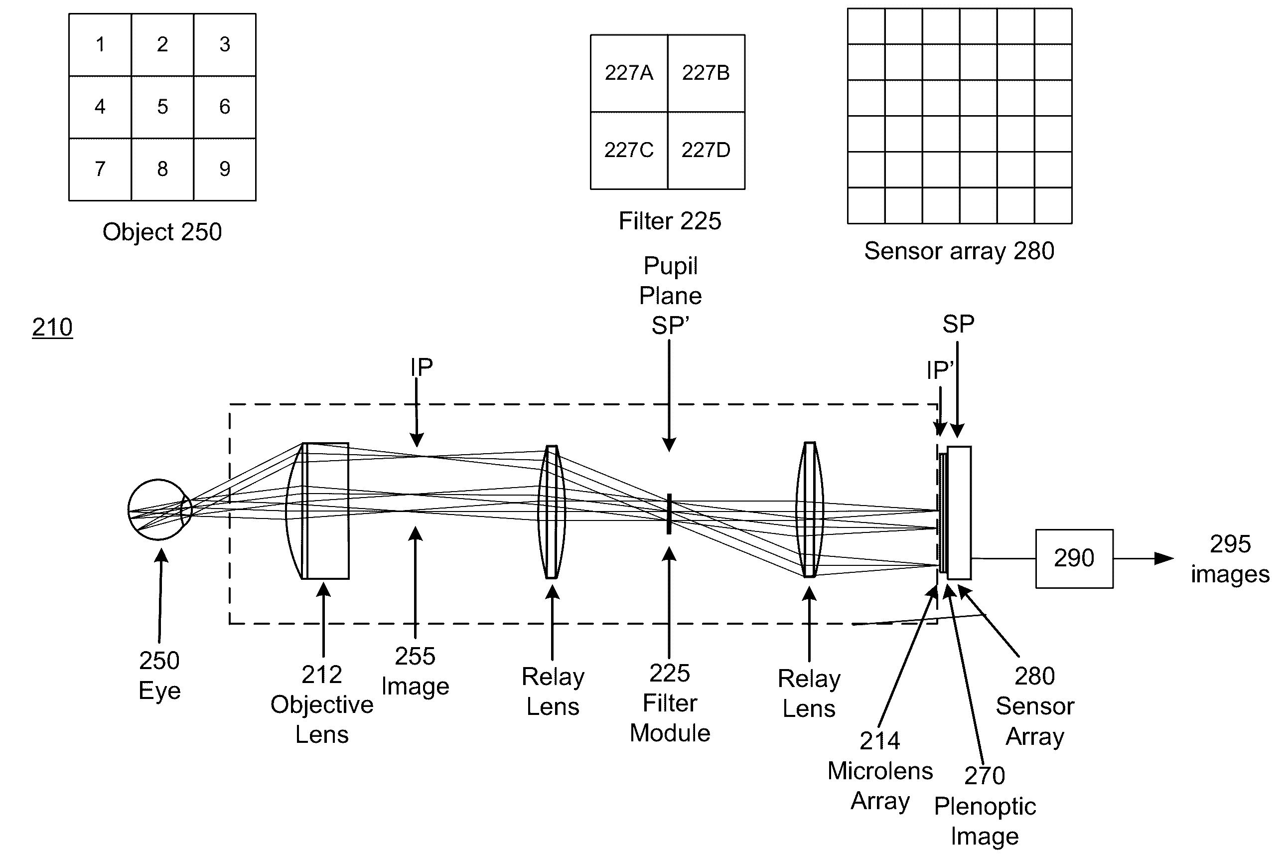 Simultaneous Capture of Filtered Images of the Eye