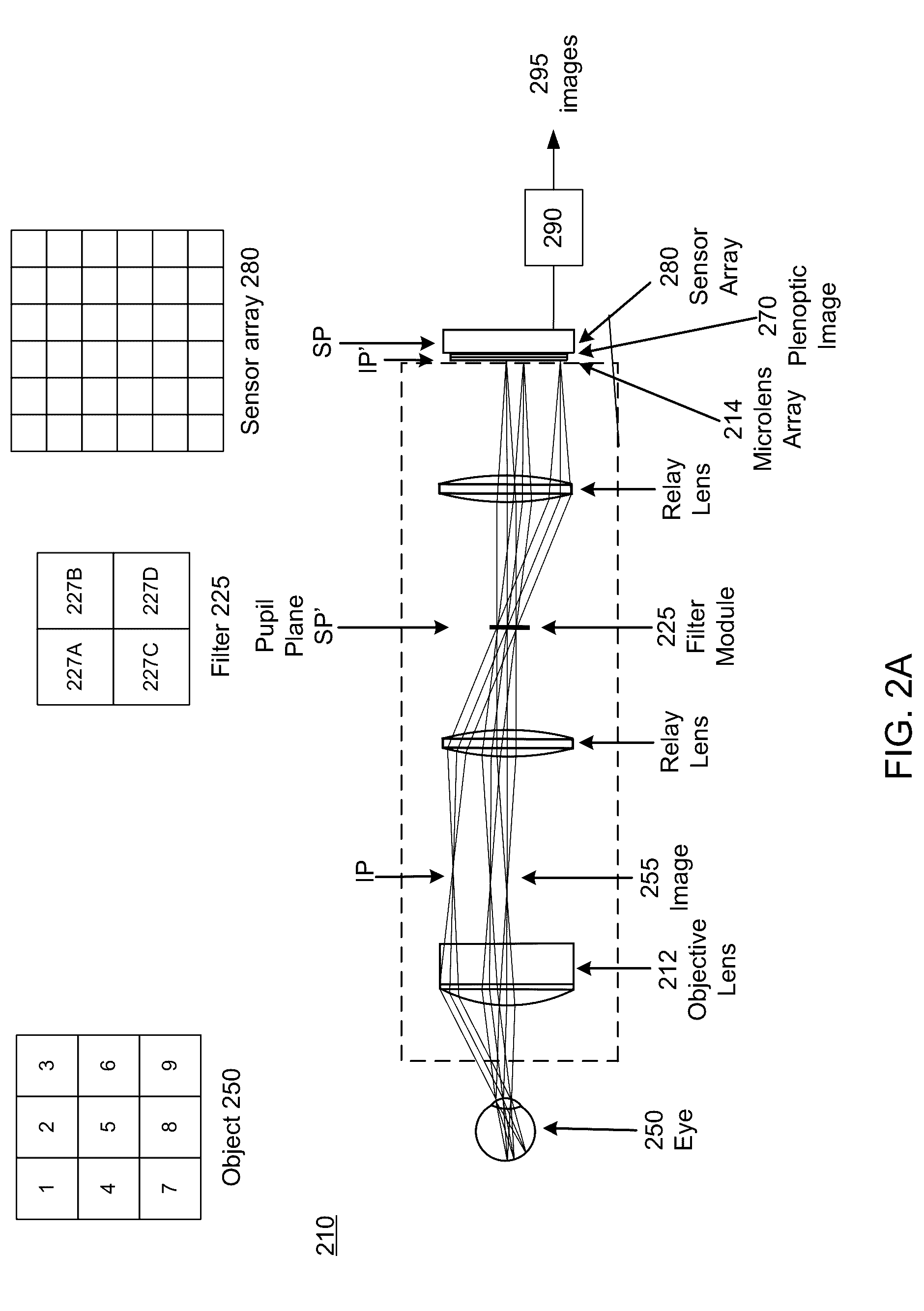 Simultaneous Capture of Filtered Images of the Eye