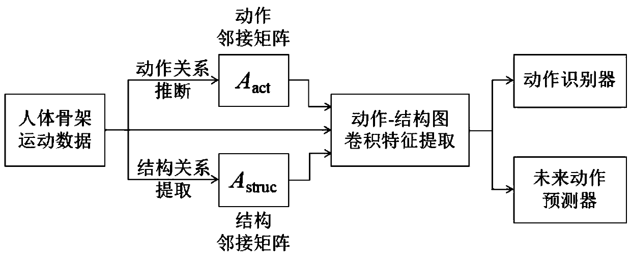 Human skeleton action recognition method and system and medium