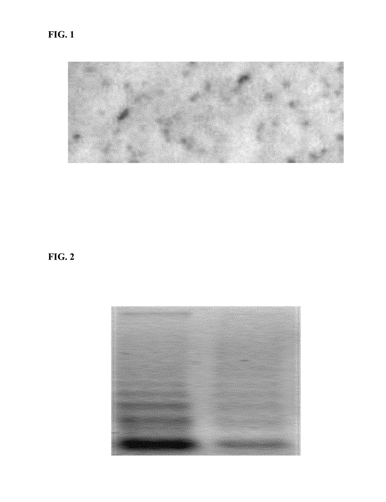 Extracellular DNA as a therapeutic target in neurodegeneration