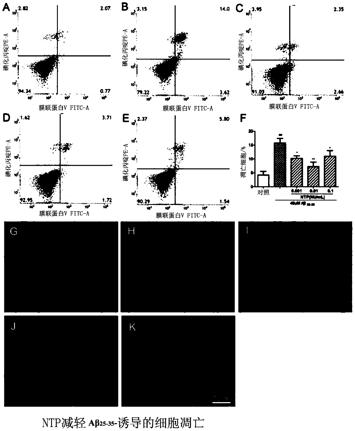 Inhibiting or alleviating agent for a beta-induced damage