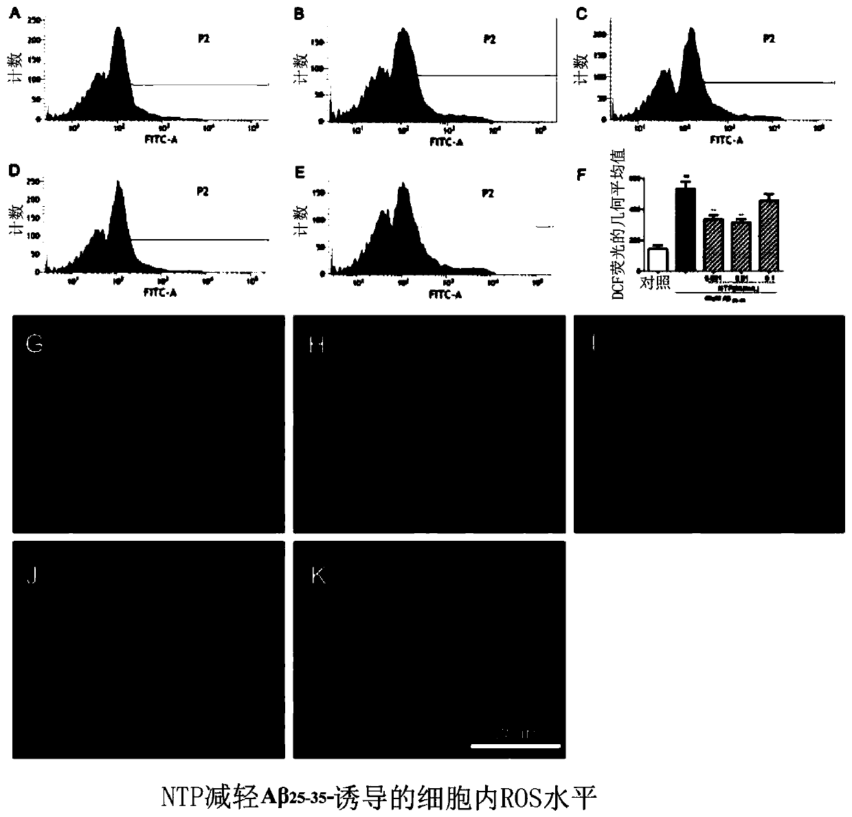 Inhibiting or alleviating agent for a beta-induced damage