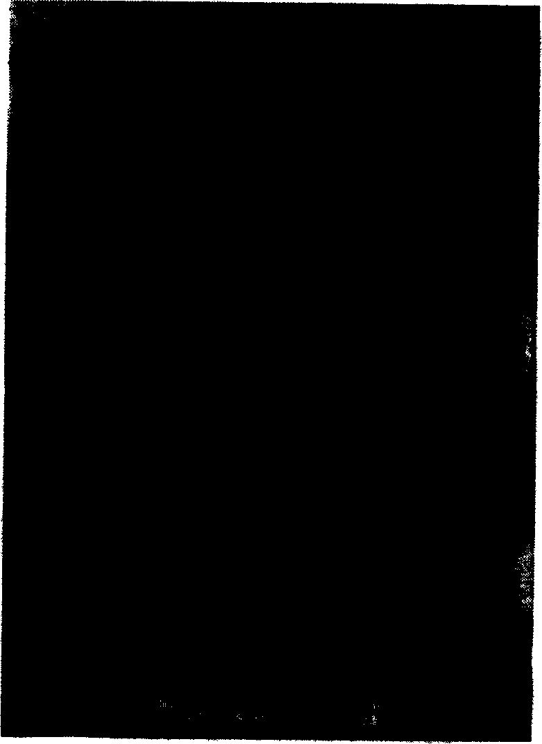 Method for fabricating block body of nano pure nickel material