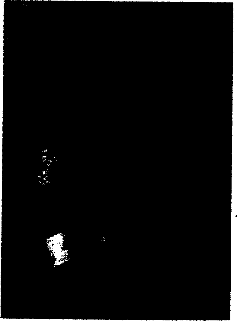 Method for fabricating block body of nano pure nickel material