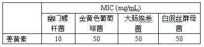 Oral care product containing curcumin and having anti-Hp (helicobacter pylori) efficacy