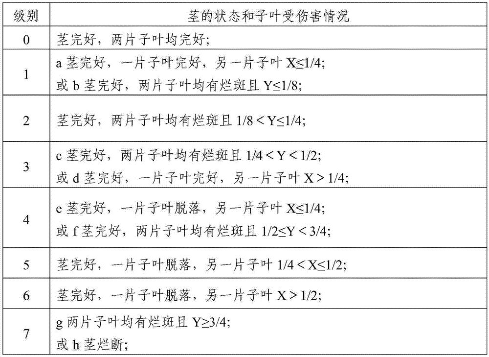 Cold resistance appraisal method of cotyledon period