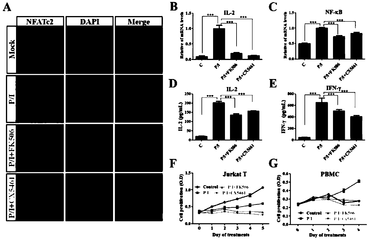 Novel use of Polymerase I inhibitor