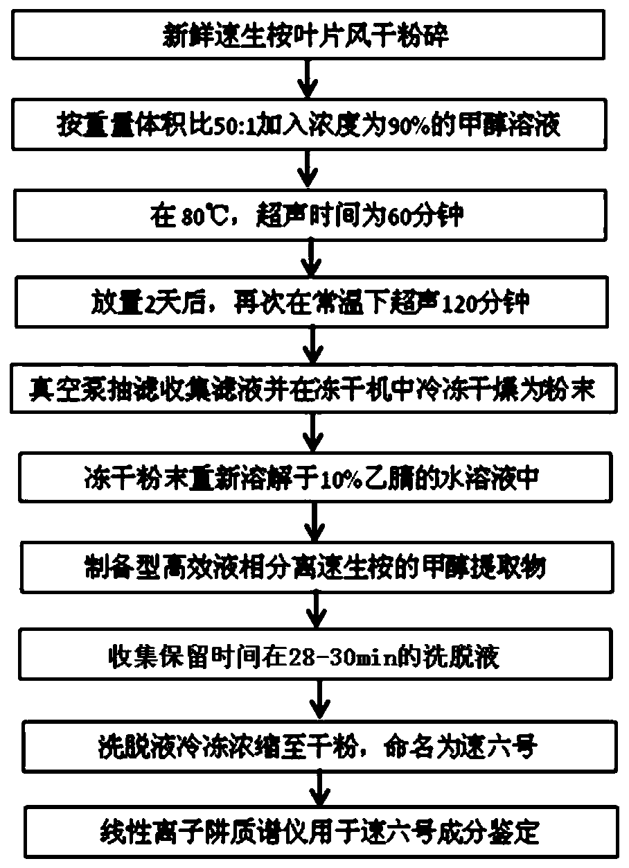 Eucalyputs grandis E.urophylla leaf extract as well as preparation method and anti-HIV application thereof