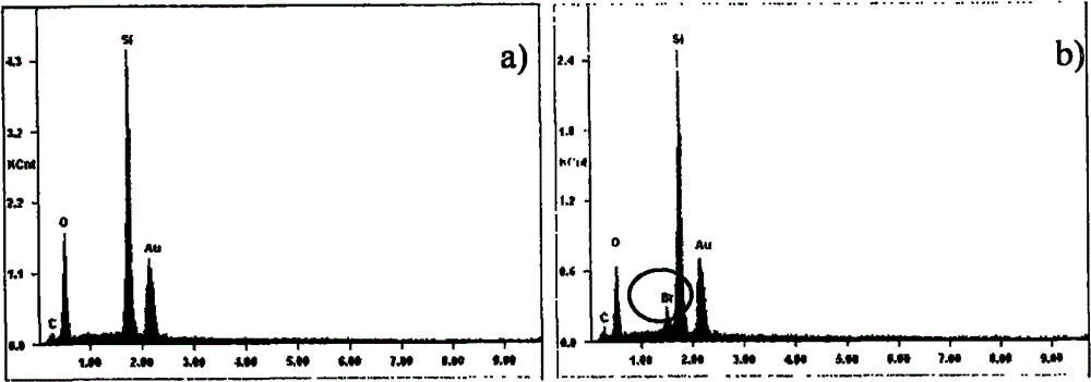 Preparation method of hydrophobic silica fiber film and use of the hydrophobic silica fiber film in removal of organic pollutants