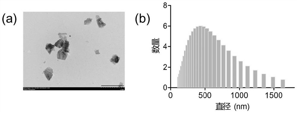 New biological application of black phosphorus nanosheet