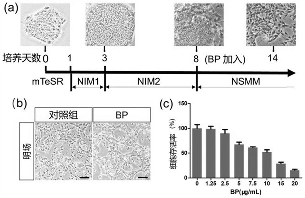 New biological application of black phosphorus nanosheet