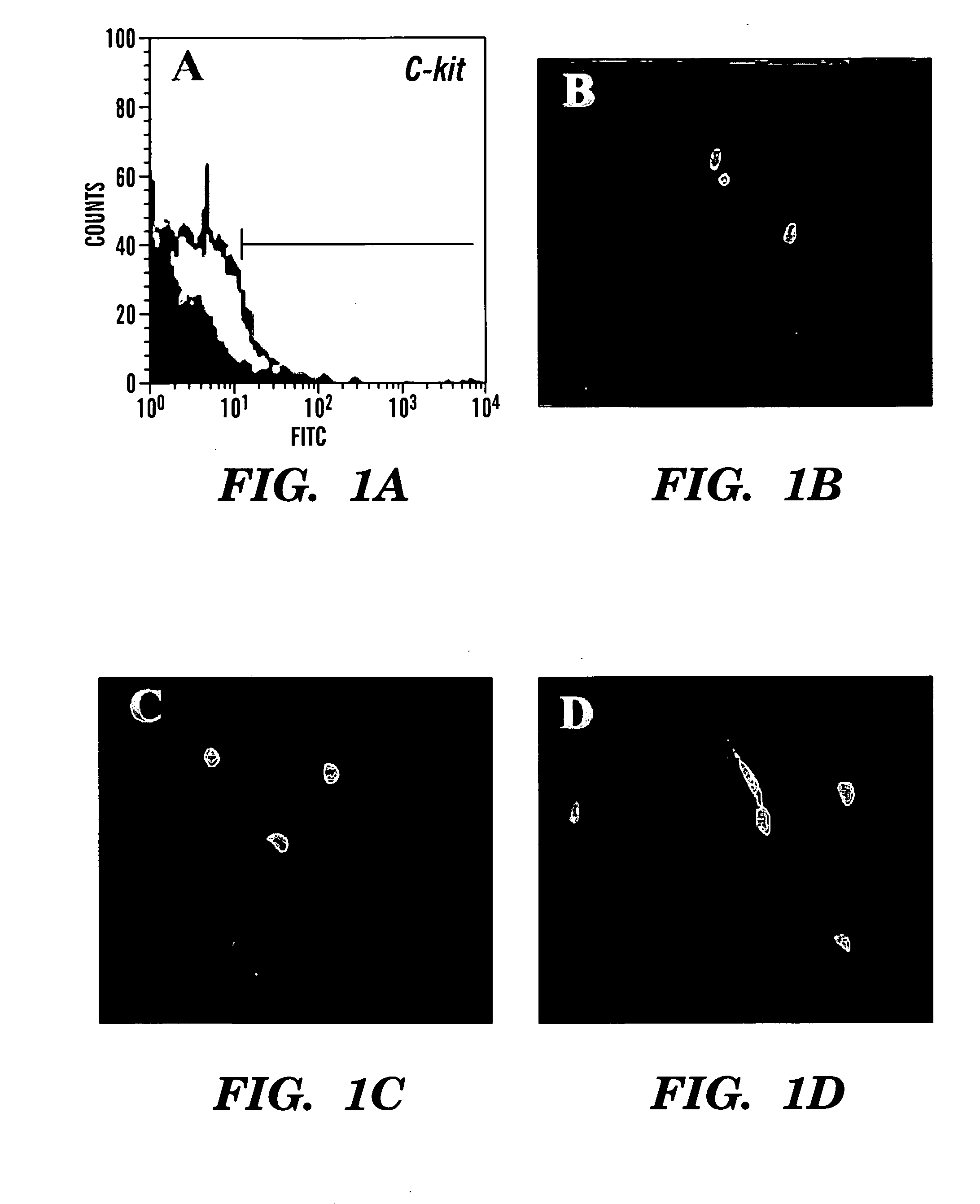 Methods of isolation, expansion and differentiation of fetal stem cells from chorionic villus, amniotic fluid, and placenta and therapeutic uses thereof