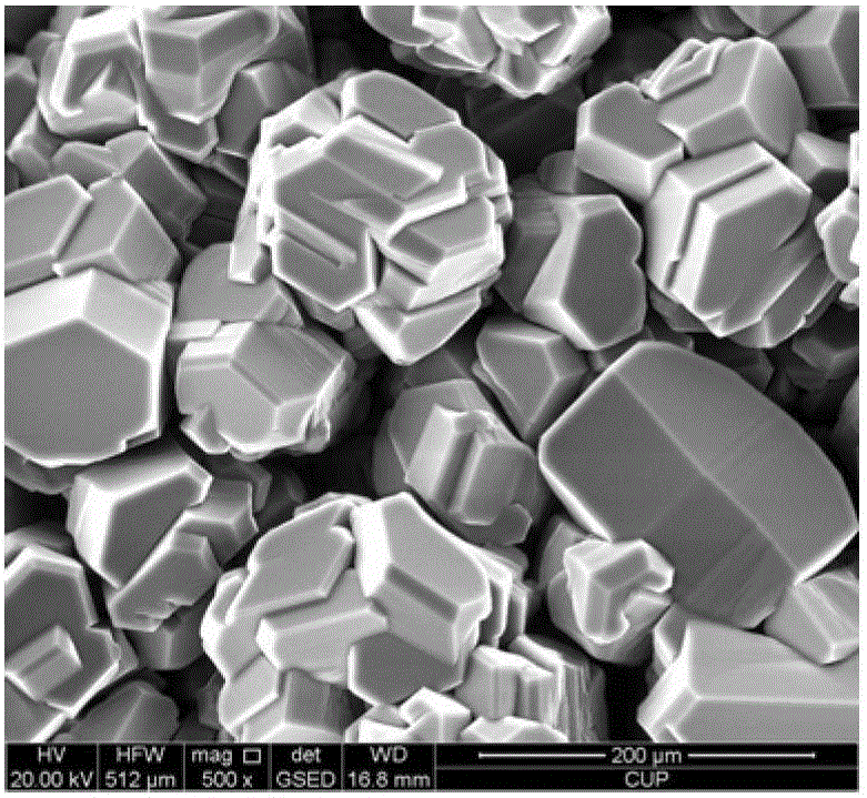 Environmental scanning electron microscope detection method of a kind of hydration molecular form of polymer