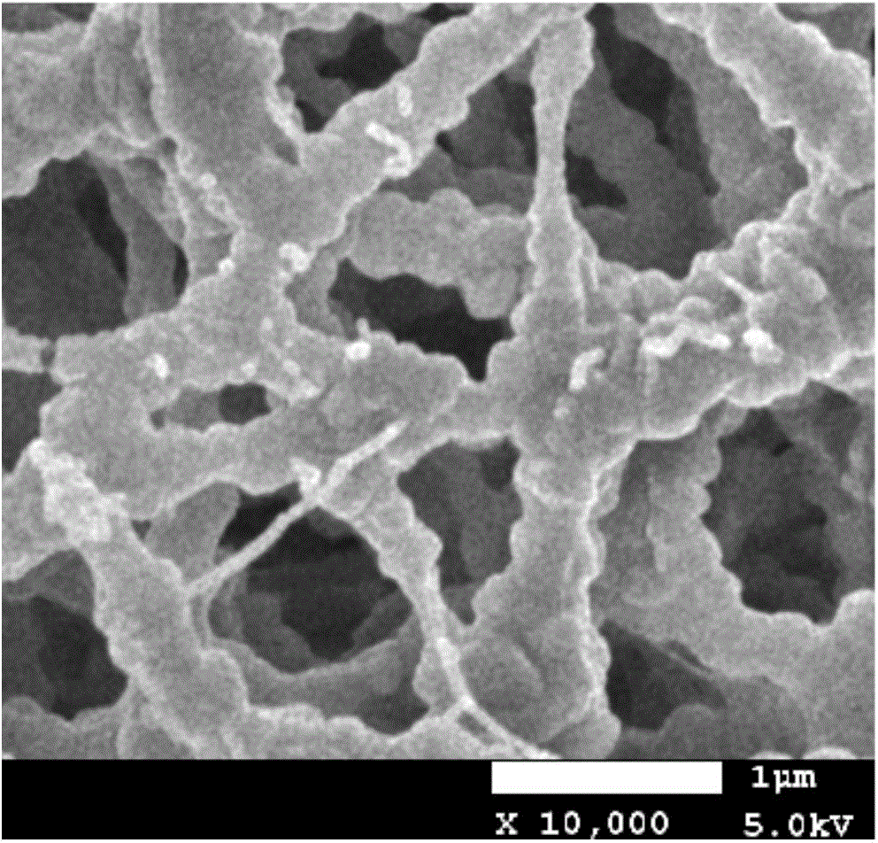 Production method of super-hydrophobic polytetrafluoroethylene membrane