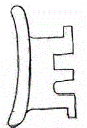 Double wire straight wire arch orthodontic device and tooth orthodontic method