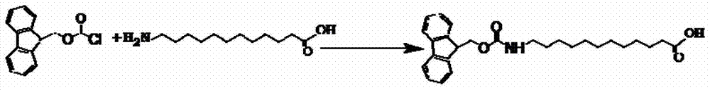 Bifunctional peptide, complex formed of said bifunctional peptide and nucleic acid molecule, and pharmaceutical composition for treating tumors