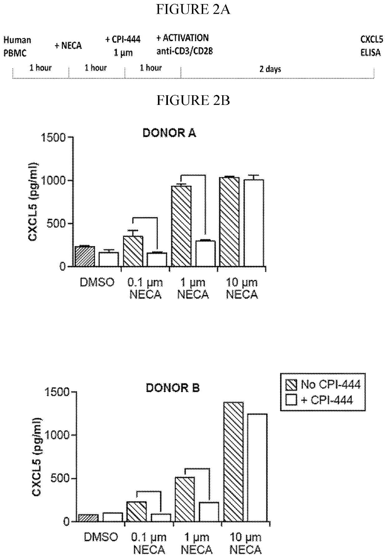 Methods for detecting and treating cancers having adenosine pathway activation