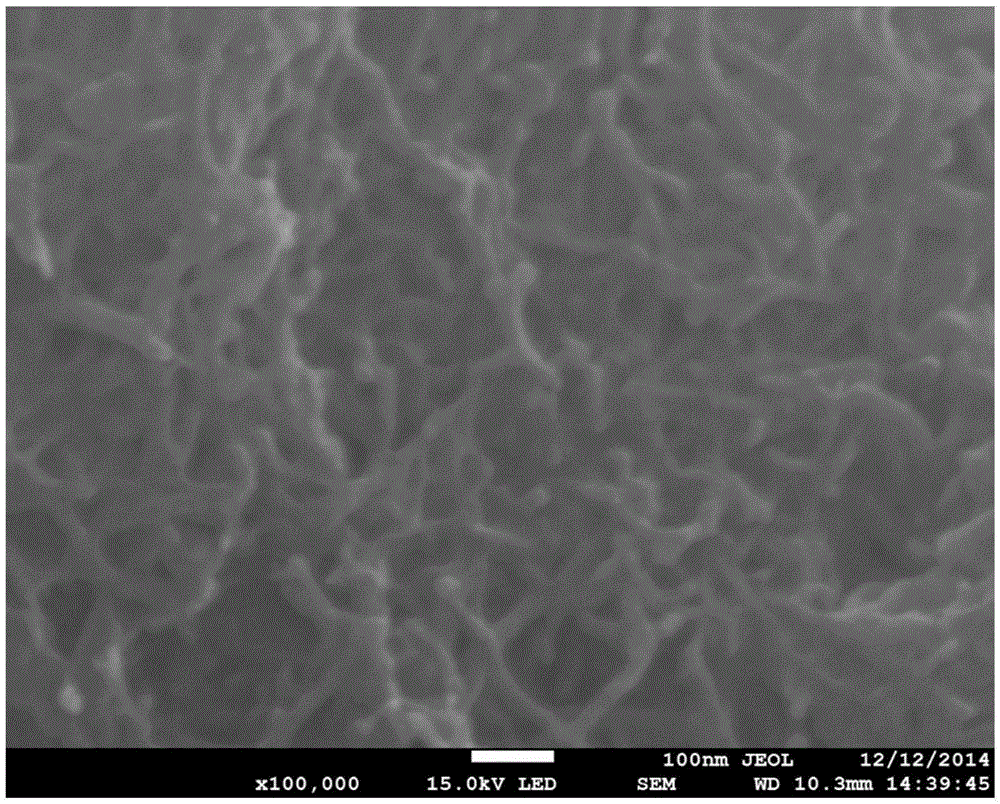 Method for preparing boron phosphate coated carbon nanotube composite proton exchange membrane