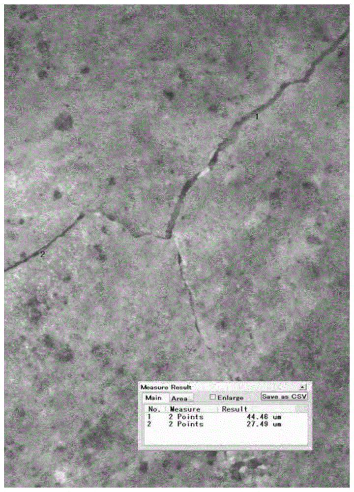 Microscopic dynamic monitoring device and repair method for micron-scale cracks in painted layer of ceramic cultural relics