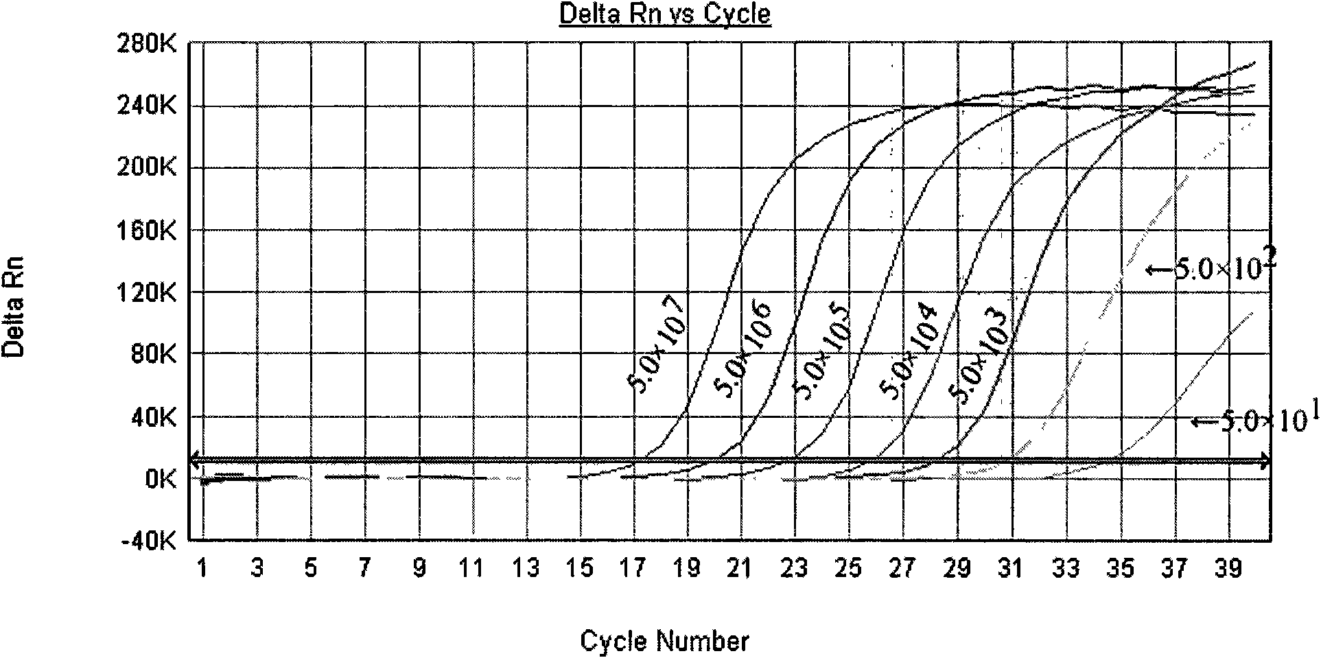 Primer for coxsackie virus A16 nucleic acid detection, probe and kit