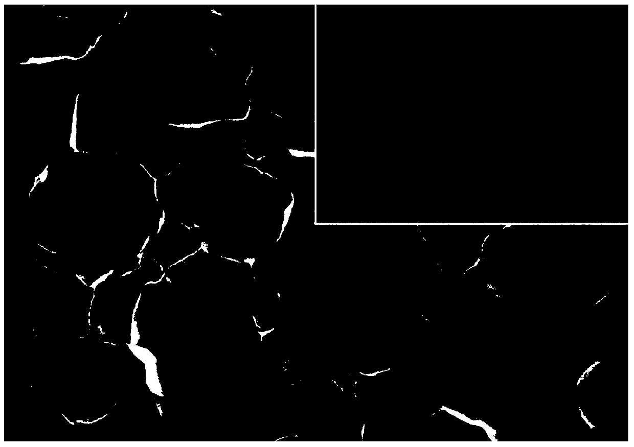 Method for preparing titanium implant and obtained titanium implant