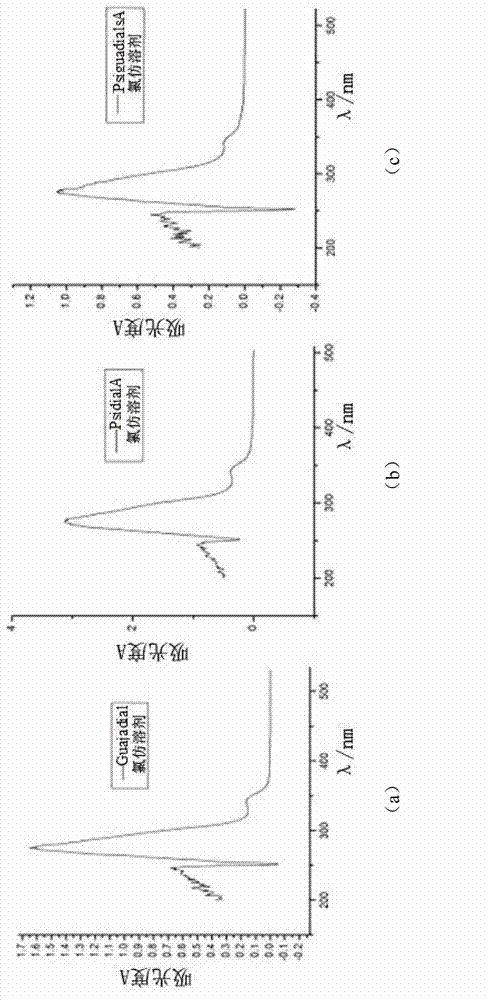 Extractive containing total meroterpenoid of psidium guajave dialdehyde, and preparation method and application thereof