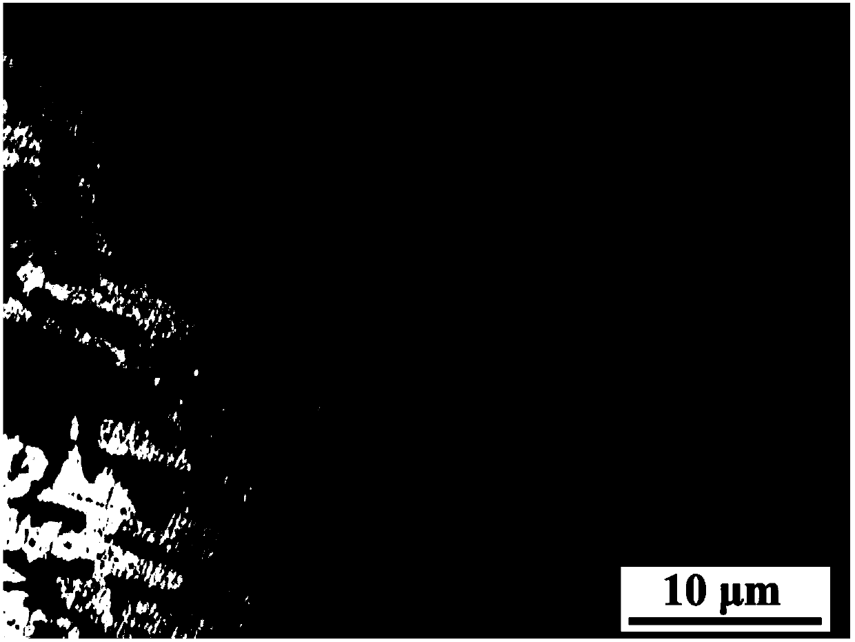 Carbon steel surface treatment method