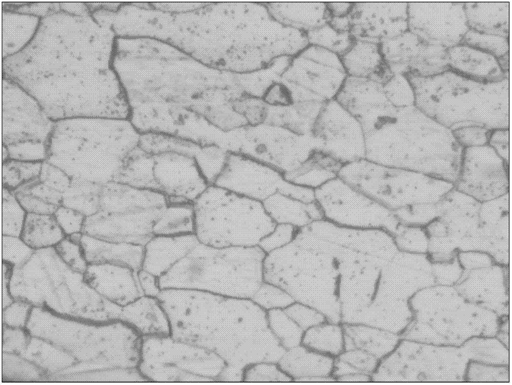 Steel strip for household electric appliance panel and production method thereof