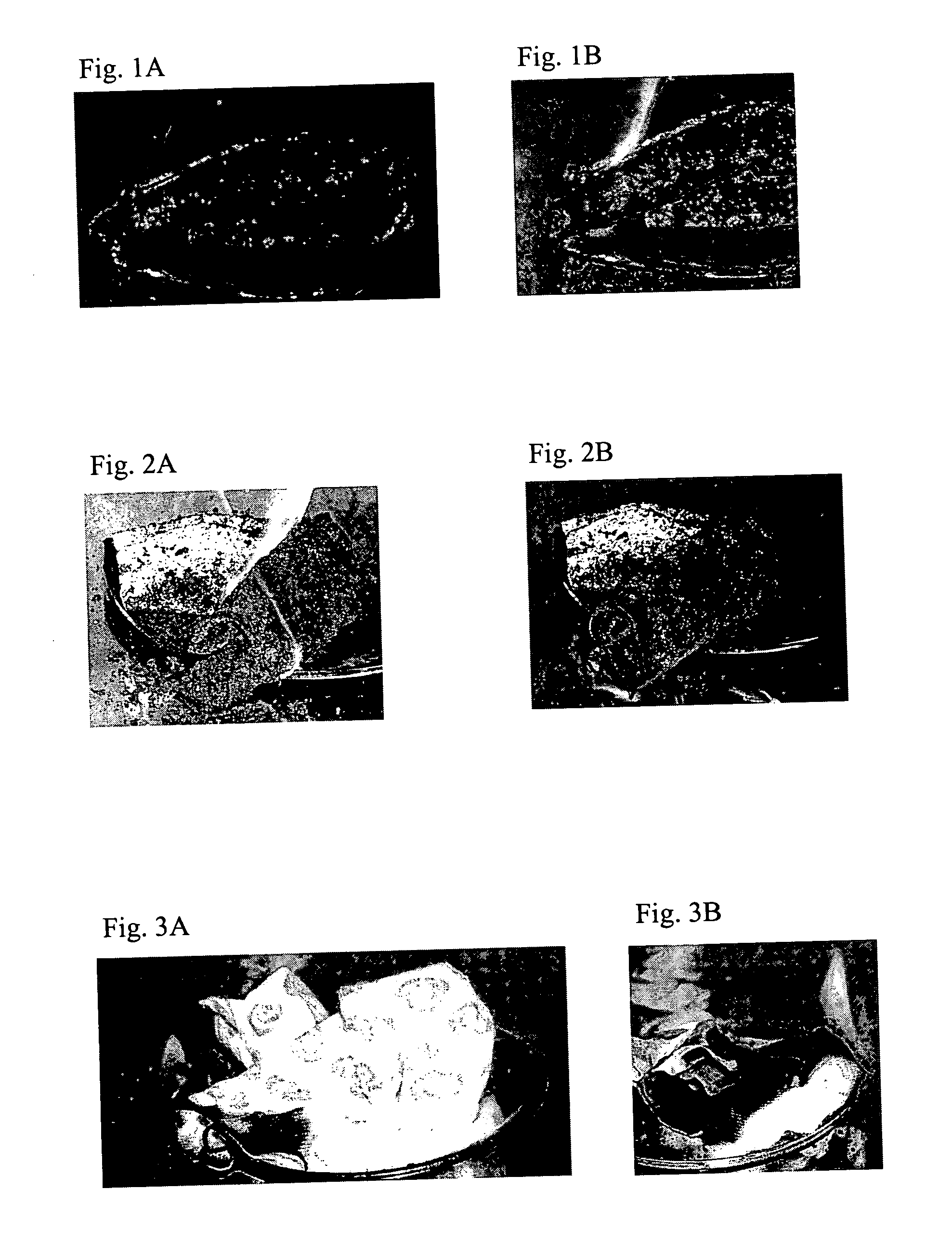 Flame retardant polymer composites and method of fabrication