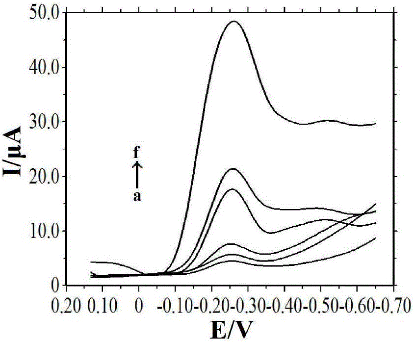 Preparation and application method of electrochemical reduction graphene oxide and nanogold modified electrode based DNA sensor