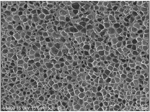 Degradable antifouling thermoplastic micro-airbag polymer elastomer material and preparation method thereof