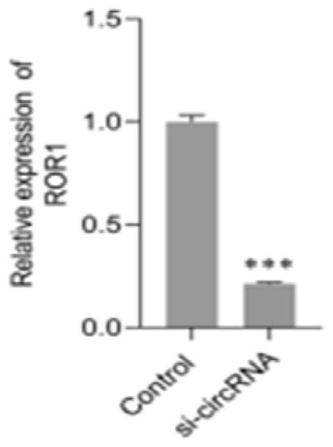 Application of hsa_circ_0006470 as target in preparation of miR-27b-3p regulator