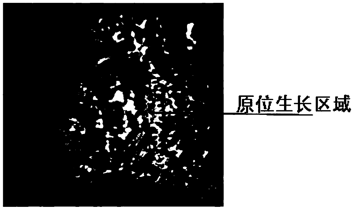 System and method for controlling local in-situ growth of micro-nano composite material