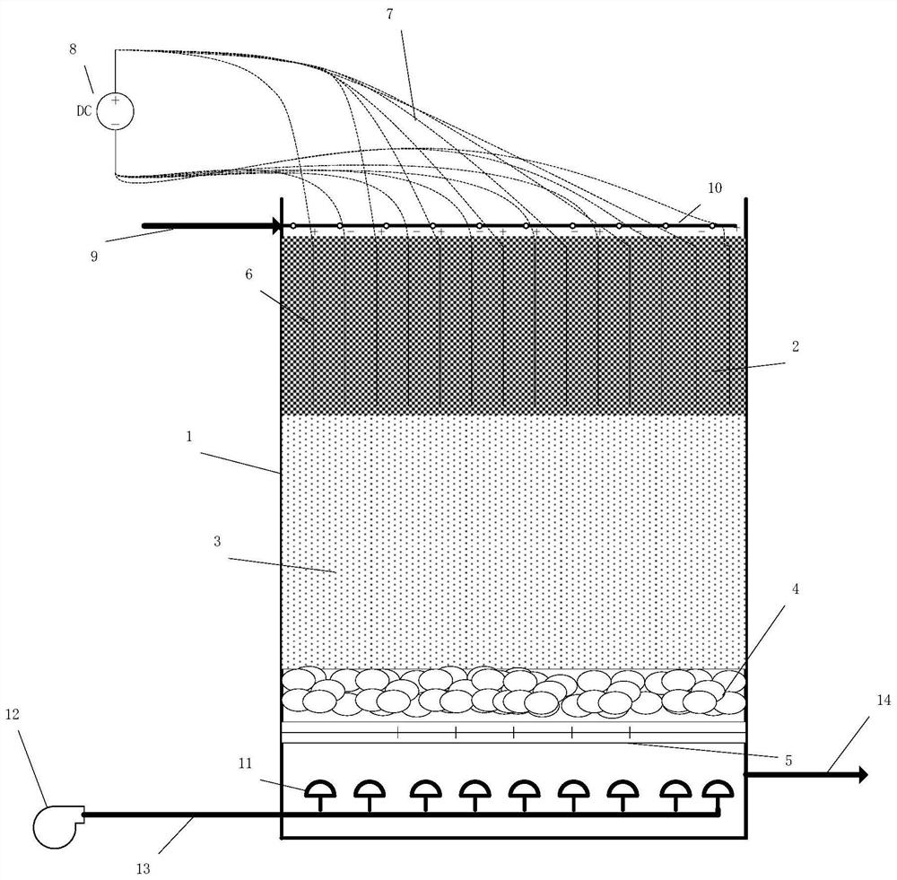 Electrocatalytic biological aerated filter and wastewater aeration method