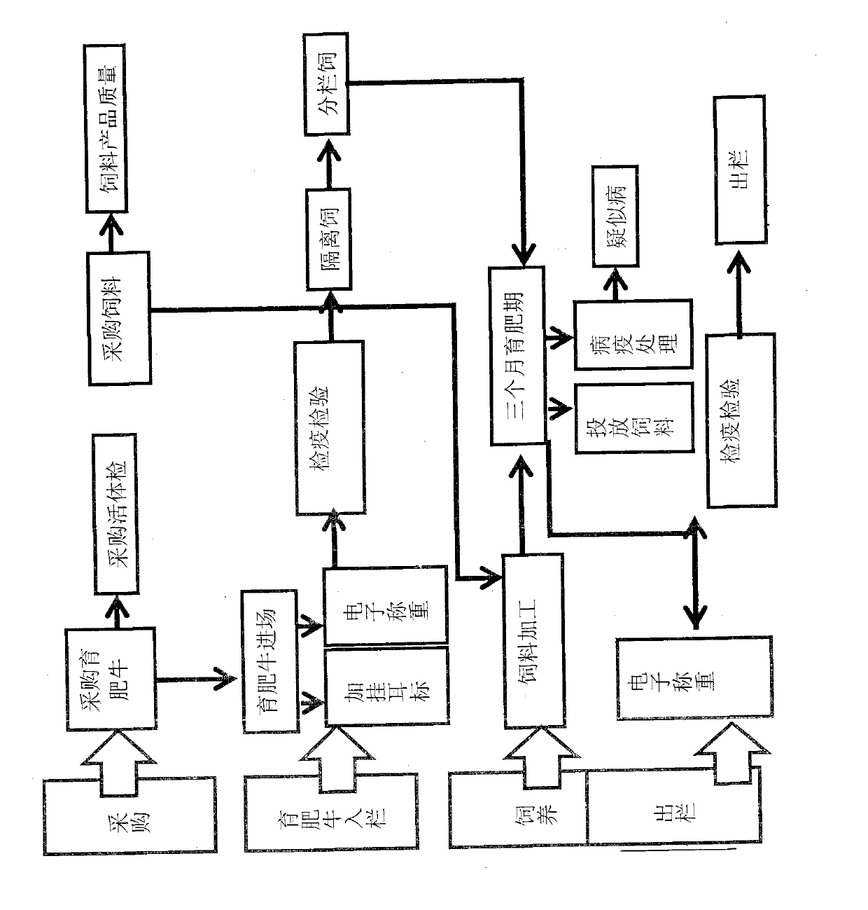 Finished cattle quality safety feeding and management method and system which are based on radio frequency identification devices (RFID) technology